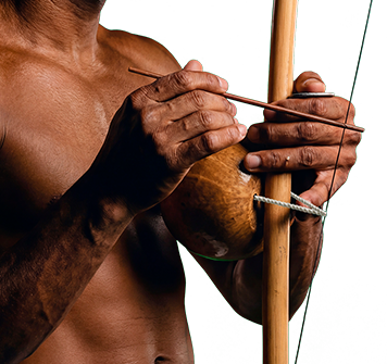 Detalhe Berimbau